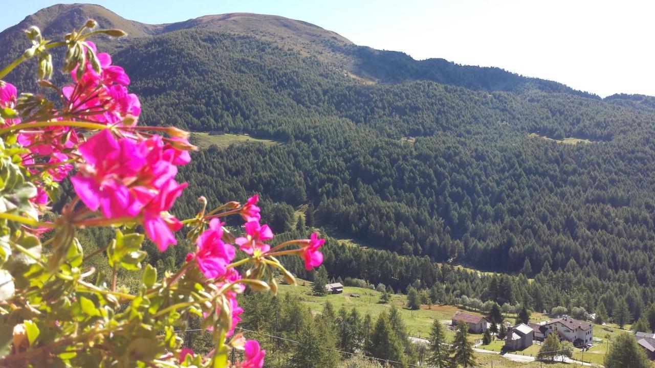 Belvedere Mountain Experience Hotel Monno Exterior foto
