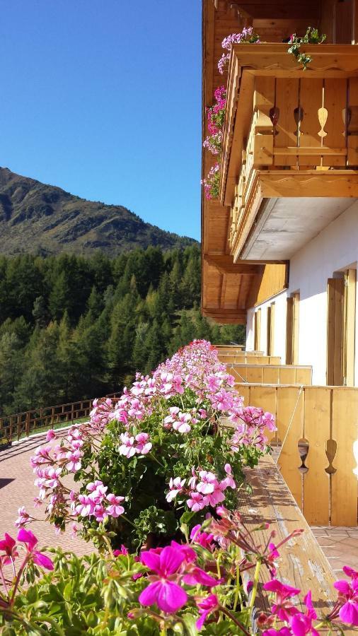 Belvedere Mountain Experience Hotel Monno Exterior foto